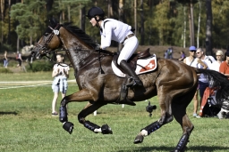 luhmuehlen-european-eventing-2019-cross-country-096-jpg