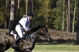 luhmuehlen-european-eventing-2019-cross-country-130-jpg