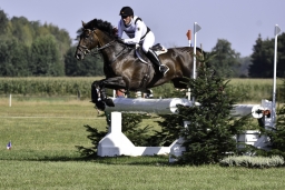 luhmuehlen-european-eventing-2019-cross-country-137-jpg