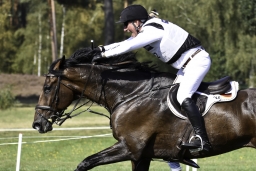 luhmuehlen-european-eventing-2019-cross-country-140-jpg