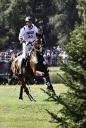 luhmuehlen-european-eventing-2019-cross-country-177-jpg