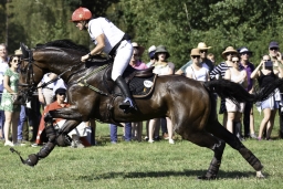 luhmuehlen-european-eventing-2019-cross-country-186-jpg