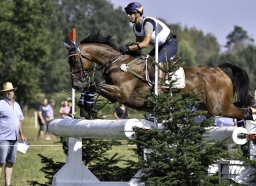 luhmuehlen-european-eventing-2019-cross-country-189-jpg