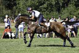 luhmuehlen-european-eventing-2019-cross-country-194-jpg