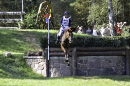 luhmuehlen-european-eventing-2019-cross-country-213-jpg