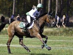 luhmuehlen-european-eventing-2019-cross-country-222-jpg