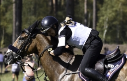 luhmuehlen-european-eventing-2019-cross-country-246-jpg