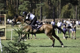 luhmuehlen-european-eventing-2019-cross-country-247-jpg