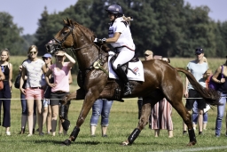 luhmuehlen-european-eventing-2019-cross-country-254-jpg