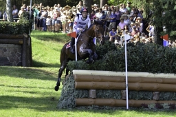 luhmuehlen-european-eventing-2019-cross-country-259-jpg