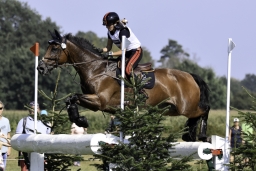 luhmuehlen-european-eventing-2019-cross-country-268-jpg