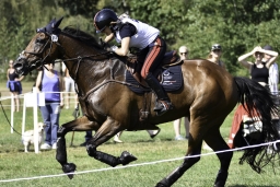 luhmuehlen-european-eventing-2019-cross-country-269-jpg
