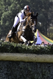 luhmuehlen-european-eventing-2019-cross-country-272-jpg