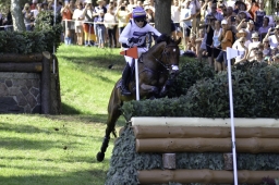 luhmuehlen-european-eventing-2019-cross-country-289-jpg
