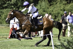 luhmuehlen-european-eventing-2019-cross-country-297-jpg