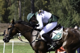 luhmuehlen-european-eventing-2019-cross-country-318-jpg