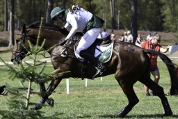 luhmuehlen-european-eventing-2019-cross-country-319-jpg