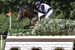 luhmuehlen-european-eventing-2019-cross-country-330-jpg