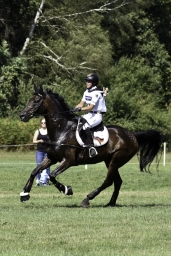 luhmuehlen-european-eventing-2019-cross-country-343-jpg