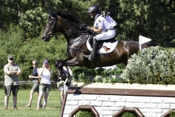 luhmuehlen-european-eventing-2019-cross-country-344-jpg