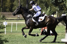 luhmuehlen-european-eventing-2019-cross-country-346-jpg