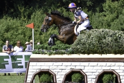 luhmuehlen-european-eventing-2019-cross-country-364