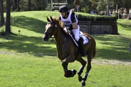 luhmuehlen-european-eventing-2019-cross-country-375