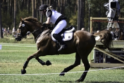 luhmuehlen-european-eventing-2019-cross-country-384