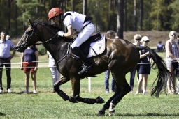 luhmuehlen-european-eventing-2019-cross-country-396
