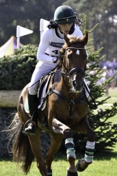 luhmuehlen-european-eventing-2019-cross-country-417
