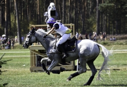 luhmuehlen-european-eventing-2019-cross-country-425