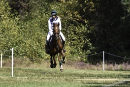 luhmuehlen-european-eventing-2019-cross-country-436