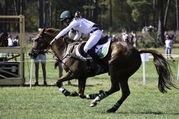 luhmuehlen-european-eventing-2019-cross-country-444