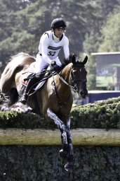 luhmuehlen-european-eventing-2019-cross-country-448