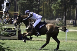 luhmuehlen-european-eventing-2019-cross-country-453
