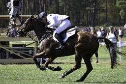 luhmuehlen-european-eventing-2019-cross-country-458