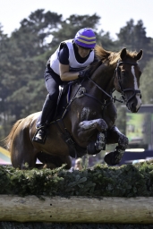 luhmuehlen-european-eventing-2019-cross-country-473