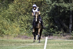 luhmuehlen-european-eventing-2019-cross-country-482
