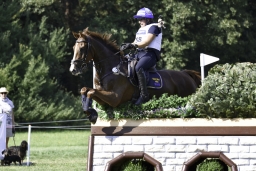 luhmuehlen-european-eventing-2019-cross-country-485