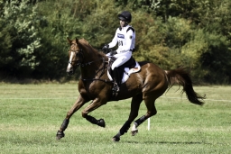 luhmuehlen-european-eventing-2019-cross-country-504