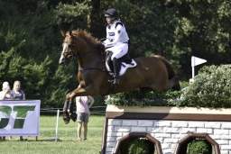 luhmuehlen-european-eventing-2019-cross-country-506