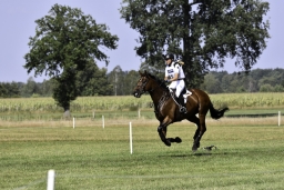 luhmuehlen-european-eventing-2019-cross-country-524