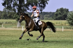 luhmuehlen-european-eventing-2019-cross-country-538