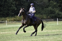 luhmuehlen-european-eventing-2019-cross-country-565
