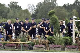 luhmuehlen-european-eventing-2019-medal-010-jpg