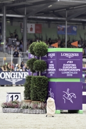 luhmuehlen-european-eventing-2019-sj-014-jpg