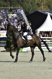 luhmuehlen-european-eventing-2019-sj-036-jpg