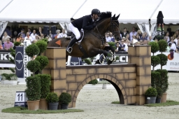luhmuehlen-european-eventing-2019-sj-193-jpg