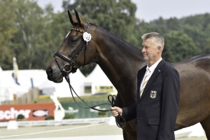 Euro 2019 - 1st Horse Inspection