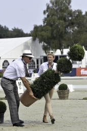 luhmuehlen-european-eventing-2019-vet-007-jpg